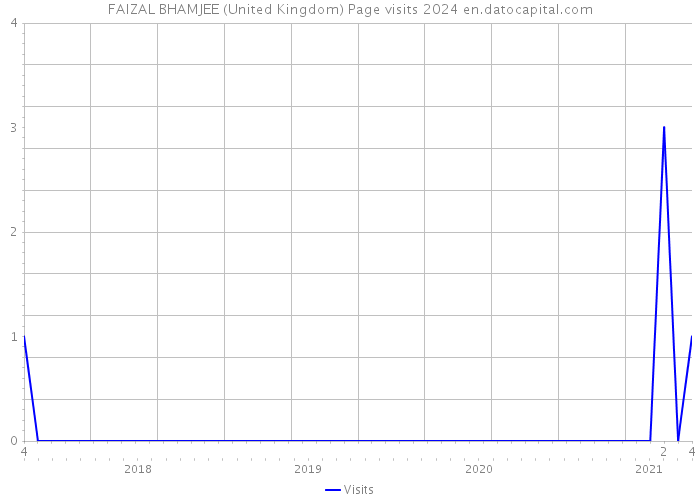 FAIZAL BHAMJEE (United Kingdom) Page visits 2024 