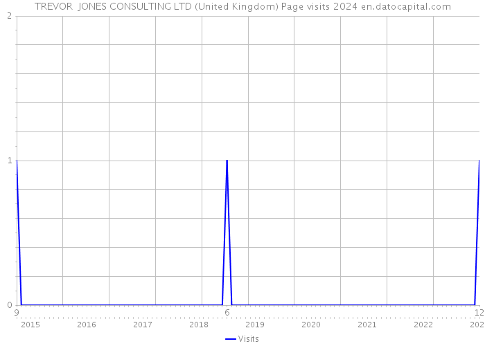 TREVOR JONES CONSULTING LTD (United Kingdom) Page visits 2024 