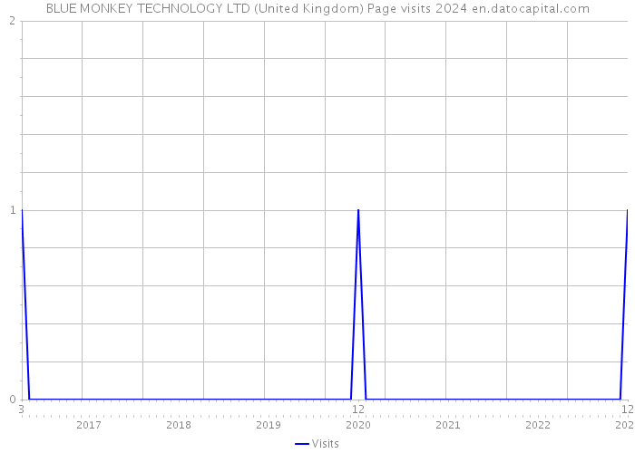 BLUE MONKEY TECHNOLOGY LTD (United Kingdom) Page visits 2024 