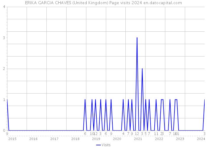 ERIKA GARCIA CHAVES (United Kingdom) Page visits 2024 