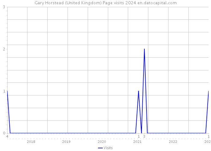 Gary Horstead (United Kingdom) Page visits 2024 