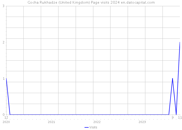 Gocha Rukhadze (United Kingdom) Page visits 2024 