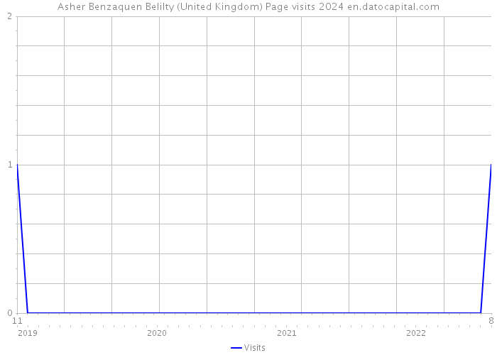 Asher Benzaquen Belilty (United Kingdom) Page visits 2024 