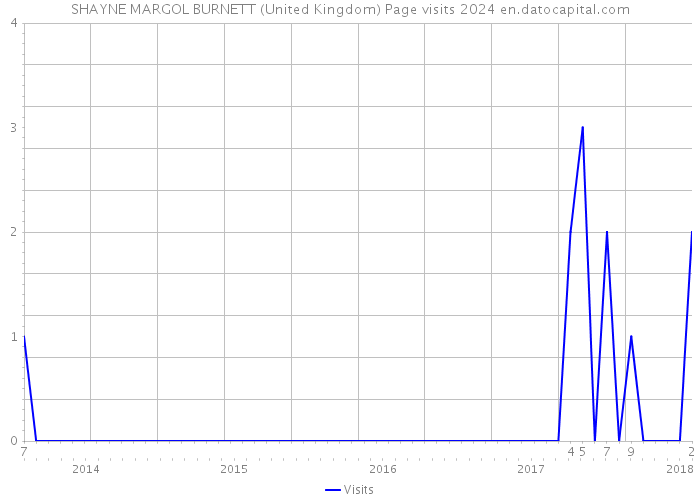 SHAYNE MARGOL BURNETT (United Kingdom) Page visits 2024 