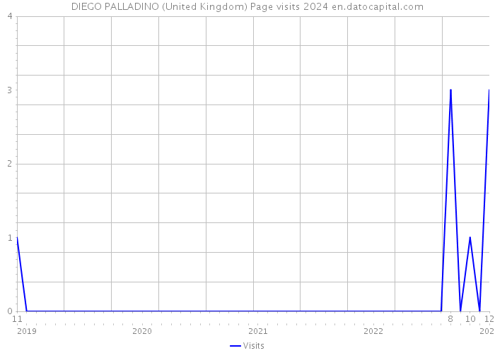 DIEGO PALLADINO (United Kingdom) Page visits 2024 