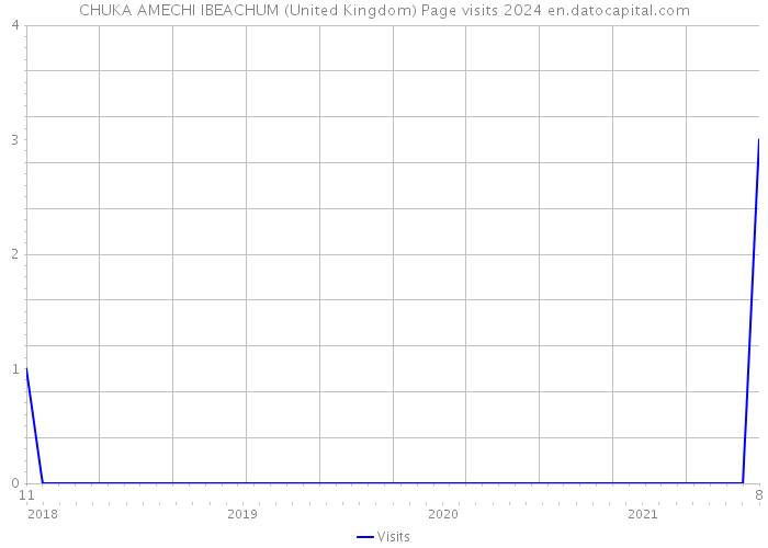 CHUKA AMECHI IBEACHUM (United Kingdom) Page visits 2024 