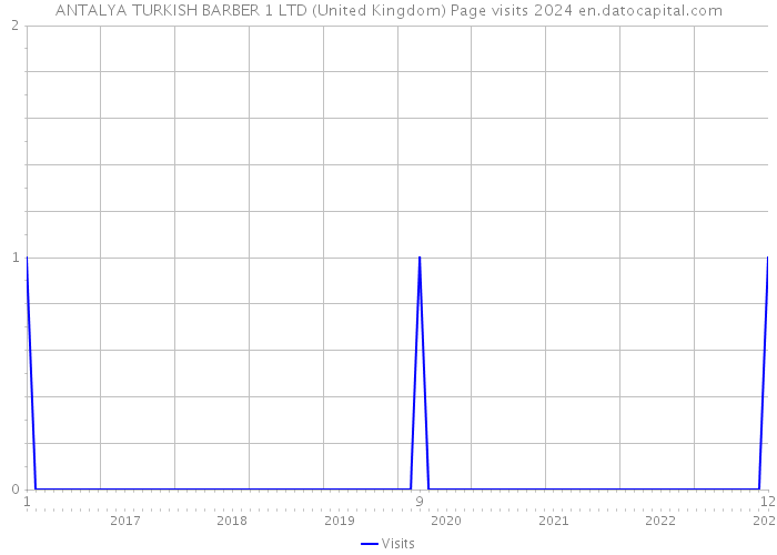ANTALYA TURKISH BARBER 1 LTD (United Kingdom) Page visits 2024 