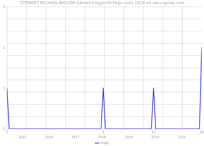 STEWART MICHAEL BADGER (United Kingdom) Page visits 2024 