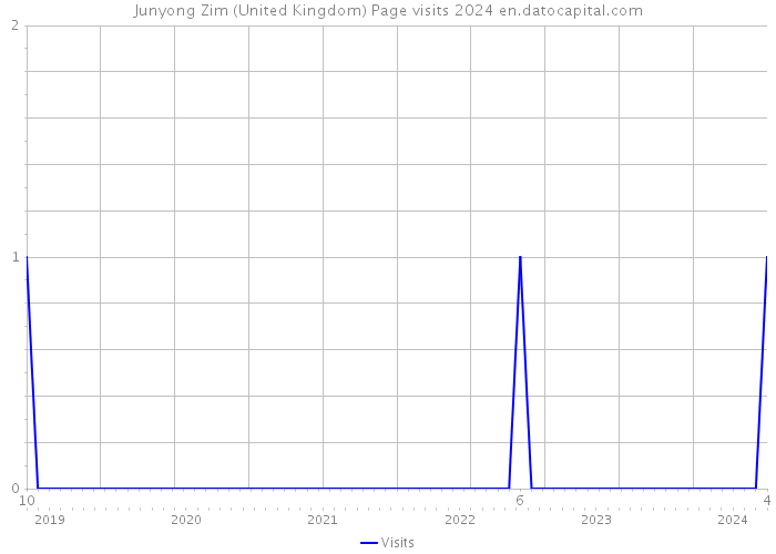 Junyong Zim (United Kingdom) Page visits 2024 