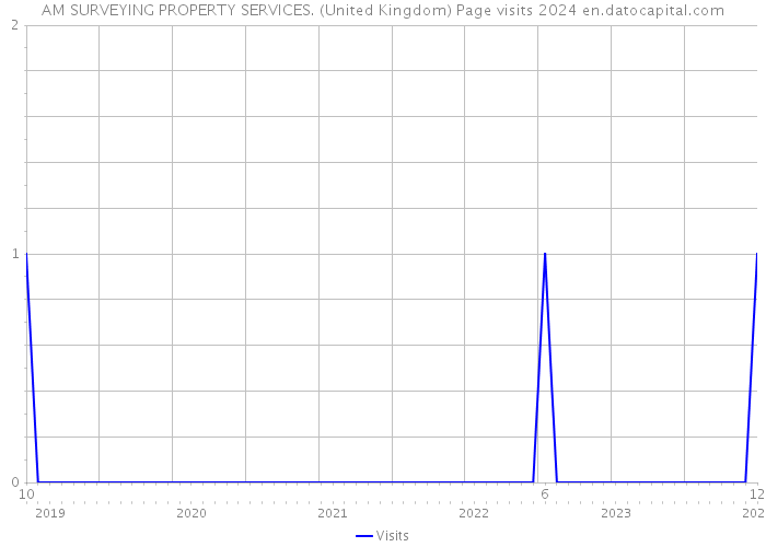 AM SURVEYING PROPERTY SERVICES. (United Kingdom) Page visits 2024 