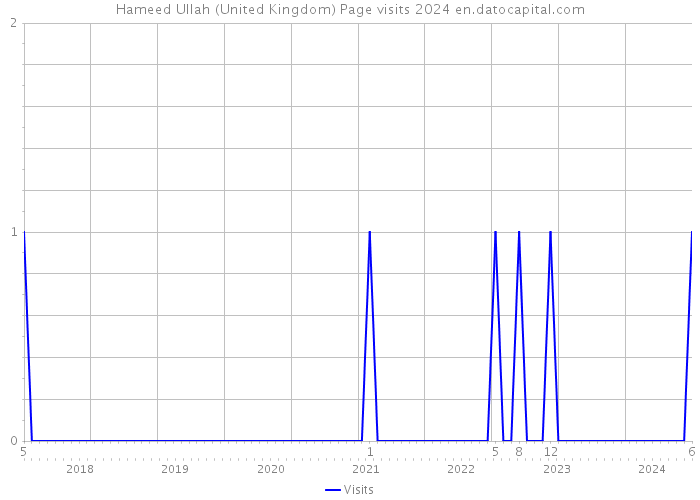 Hameed Ullah (United Kingdom) Page visits 2024 