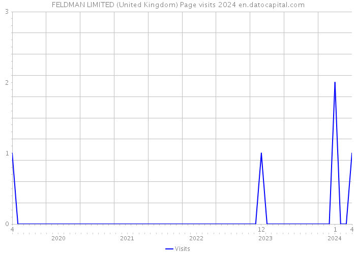 FELDMAN LIMITED (United Kingdom) Page visits 2024 