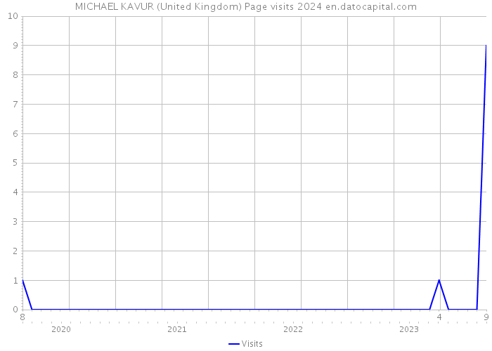 MICHAEL KAVUR (United Kingdom) Page visits 2024 