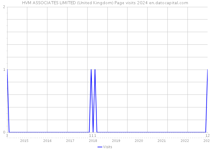 HVM ASSOCIATES LIMITED (United Kingdom) Page visits 2024 