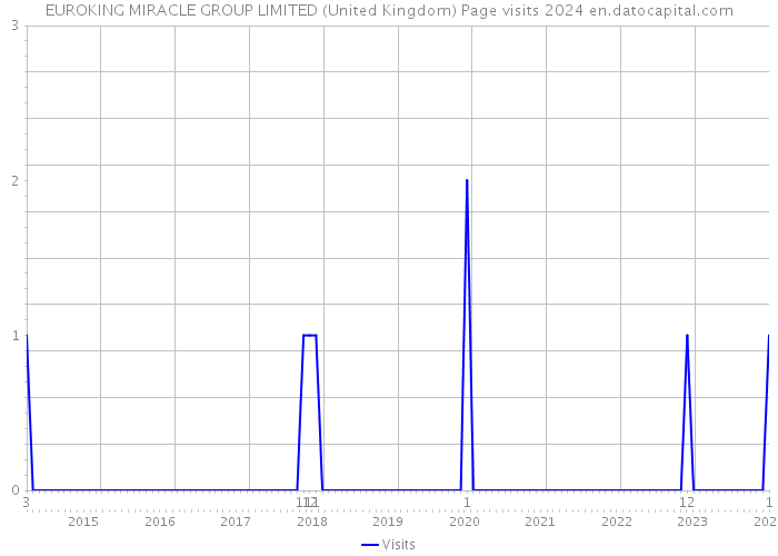 EUROKING MIRACLE GROUP LIMITED (United Kingdom) Page visits 2024 
