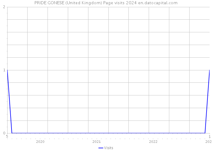 PRIDE GONESE (United Kingdom) Page visits 2024 