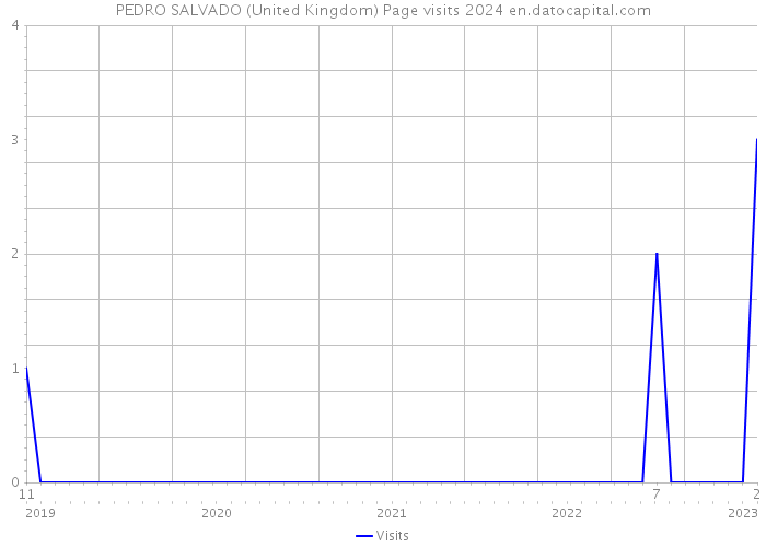 PEDRO SALVADO (United Kingdom) Page visits 2024 