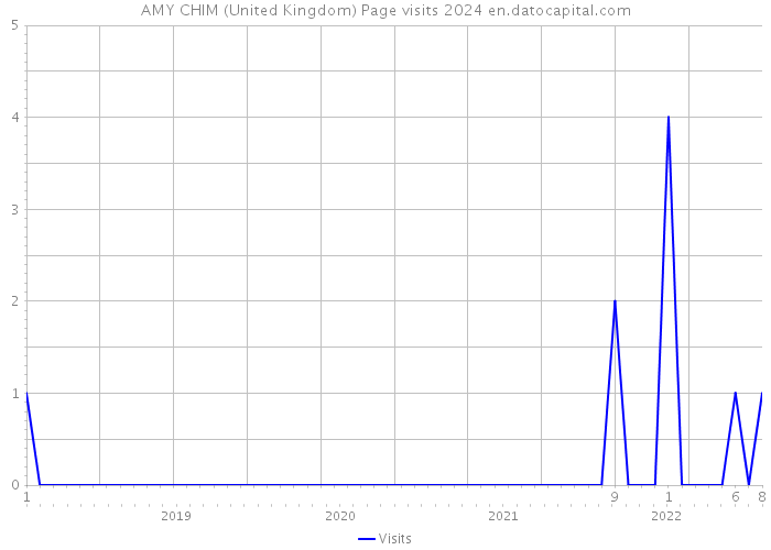 AMY CHIM (United Kingdom) Page visits 2024 