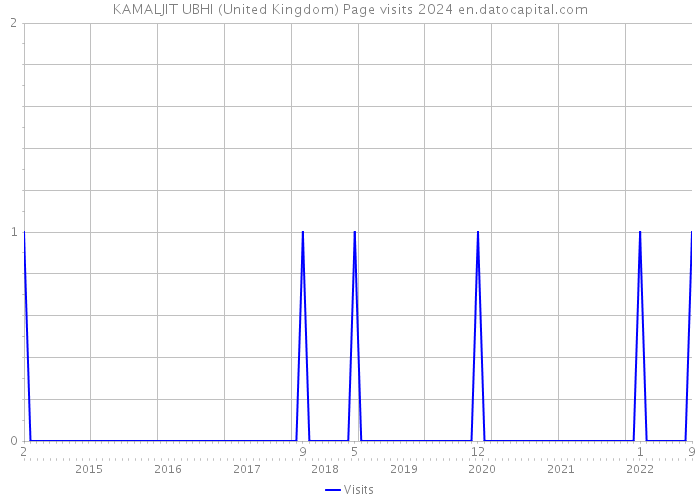 KAMALJIT UBHI (United Kingdom) Page visits 2024 