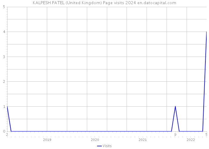 KALPESH PATEL (United Kingdom) Page visits 2024 