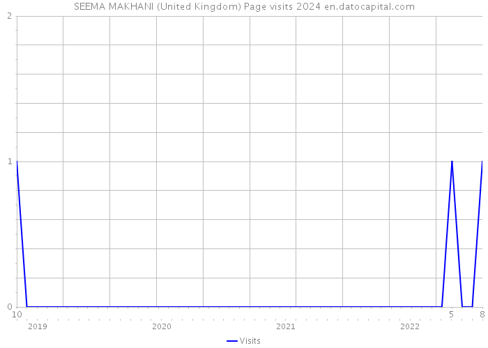 SEEMA MAKHANI (United Kingdom) Page visits 2024 