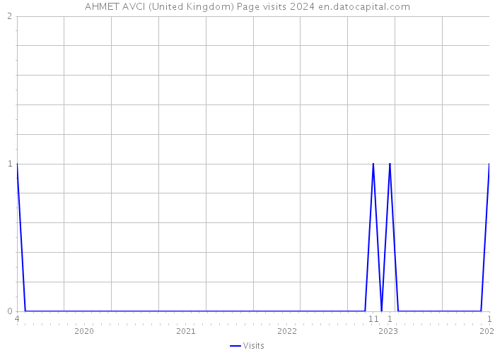 AHMET AVCI (United Kingdom) Page visits 2024 