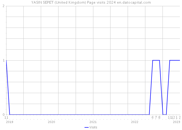 YASIN SEPET (United Kingdom) Page visits 2024 