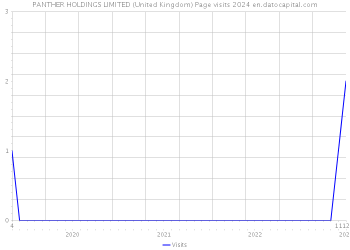 PANTHER HOLDINGS LIMITED (United Kingdom) Page visits 2024 