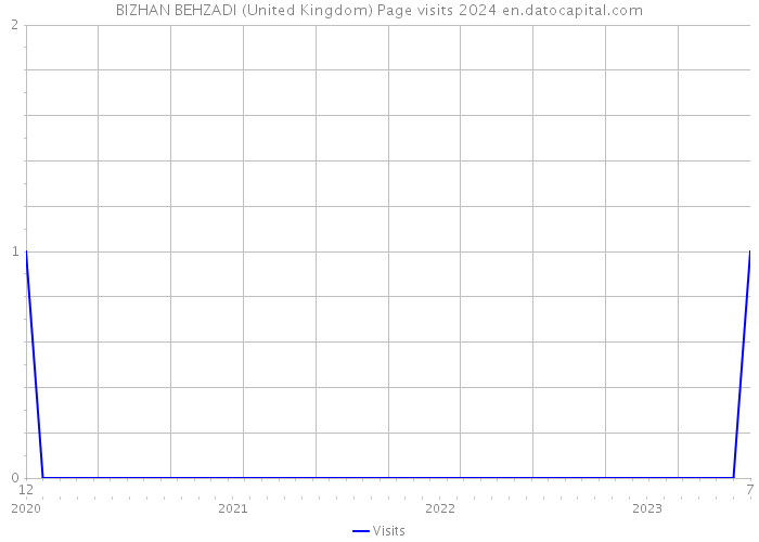 BIZHAN BEHZADI (United Kingdom) Page visits 2024 