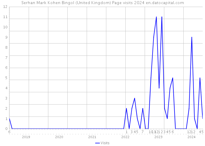 Serhan Mark Kohen Bingol (United Kingdom) Page visits 2024 