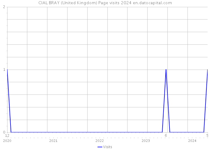 CIAL BRAY (United Kingdom) Page visits 2024 