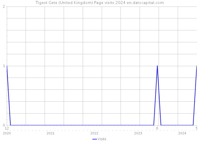 Tigest Gete (United Kingdom) Page visits 2024 