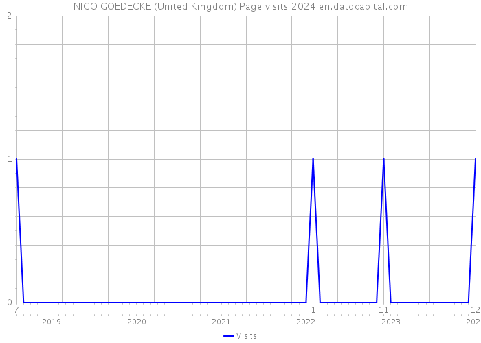 NICO GOEDECKE (United Kingdom) Page visits 2024 