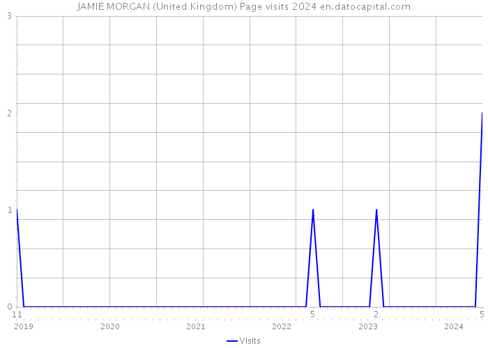 JAMIE MORGAN (United Kingdom) Page visits 2024 