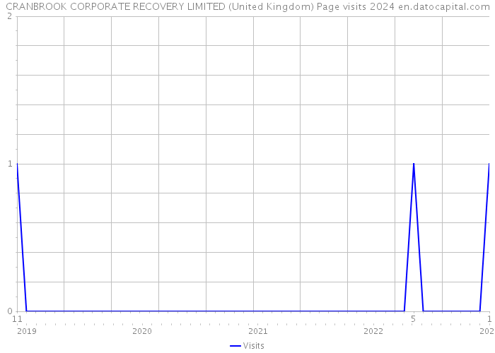 CRANBROOK CORPORATE RECOVERY LIMITED (United Kingdom) Page visits 2024 