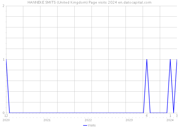 HANNEKE SMITS (United Kingdom) Page visits 2024 