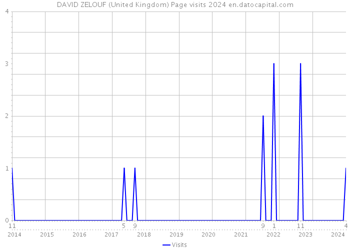 DAVID ZELOUF (United Kingdom) Page visits 2024 