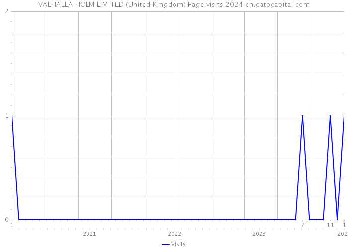 VALHALLA HOLM LIMITED (United Kingdom) Page visits 2024 