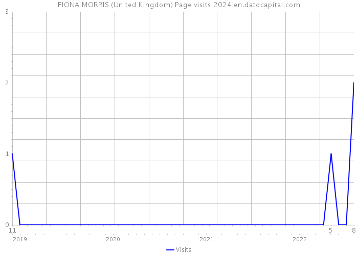 FIONA MORRIS (United Kingdom) Page visits 2024 