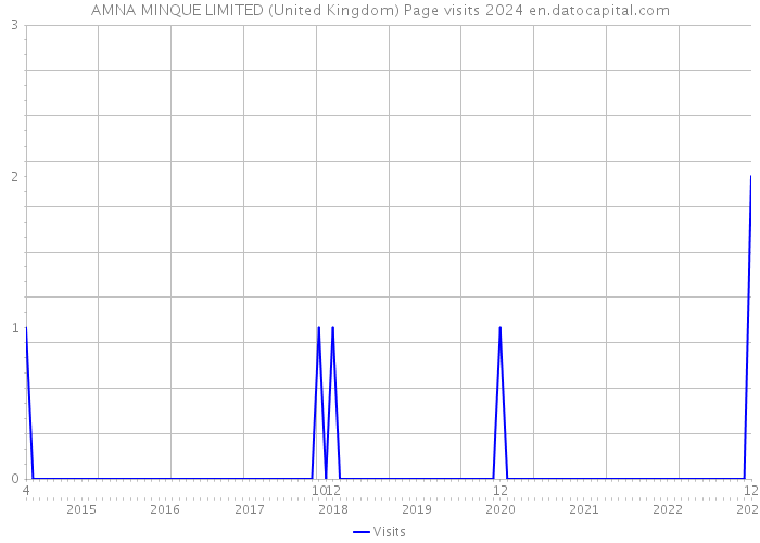 AMNA MINQUE LIMITED (United Kingdom) Page visits 2024 