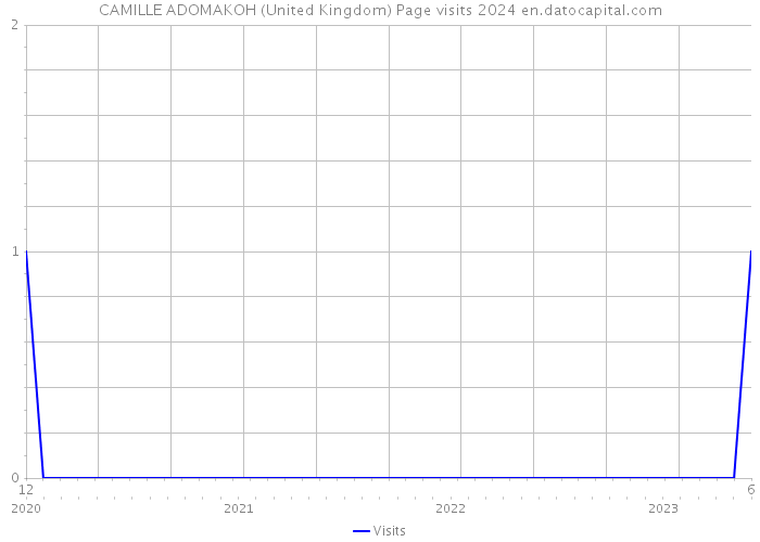 CAMILLE ADOMAKOH (United Kingdom) Page visits 2024 