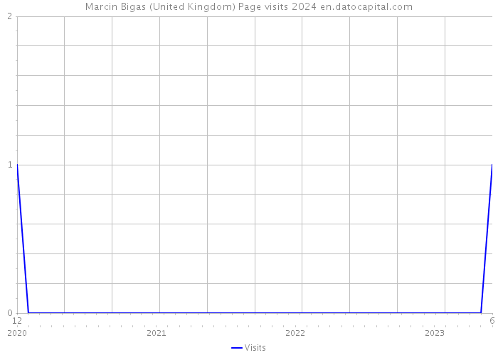 Marcin Bigas (United Kingdom) Page visits 2024 