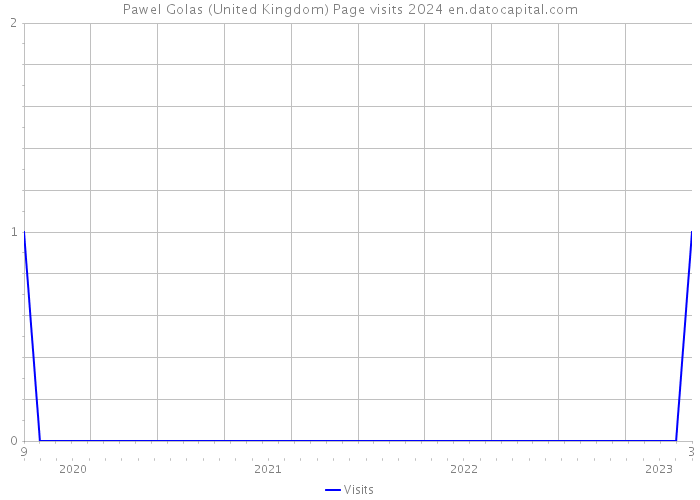 Pawel Golas (United Kingdom) Page visits 2024 
