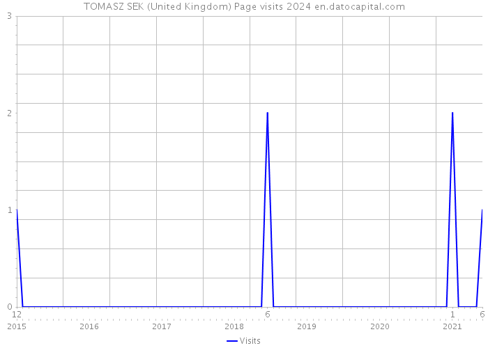 TOMASZ SEK (United Kingdom) Page visits 2024 