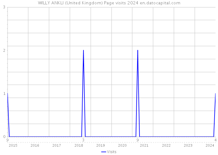 WILLY ANKLI (United Kingdom) Page visits 2024 