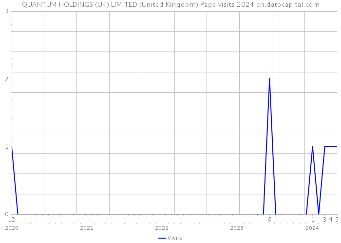 QUANTUM HOLDINGS (UK) LIMITED (United Kingdom) Page visits 2024 