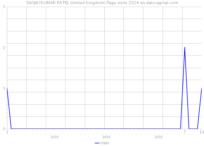 SANJAYKUMAR PATEL (United Kingdom) Page visits 2024 