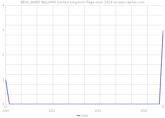 BEVIL JAMES WILLIAMS (United Kingdom) Page visits 2024 