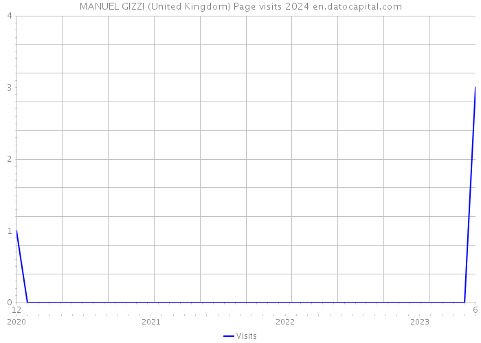 MANUEL GIZZI (United Kingdom) Page visits 2024 