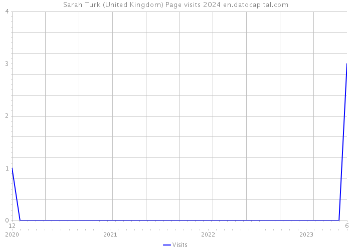 Sarah Turk (United Kingdom) Page visits 2024 